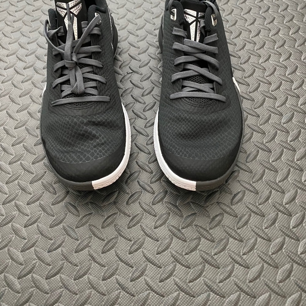 Mamba focus - Picture 4 of 4